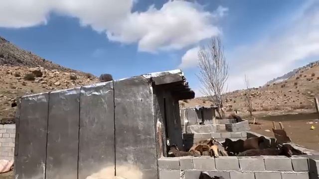 02.03.2024 Мать-одиночка, Снежная ферма День на холоде смотреть онлайн