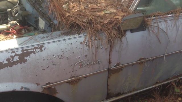 Diesel Peugeot 504 смотреть онлайн