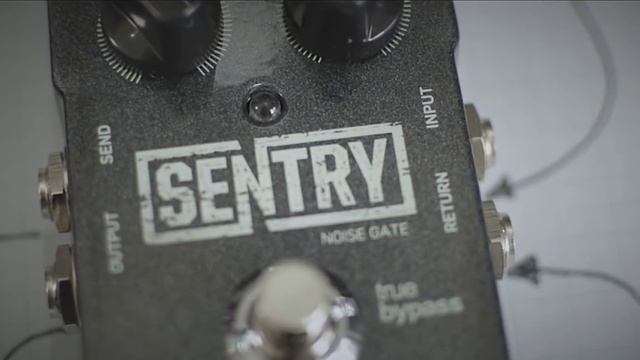 TC Electronic Sentry Noise Gate Vs. ISP Decimator - Обзор от SancheZ
