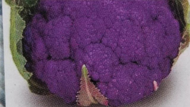Coliflor en el Huerto смотреть онлайн