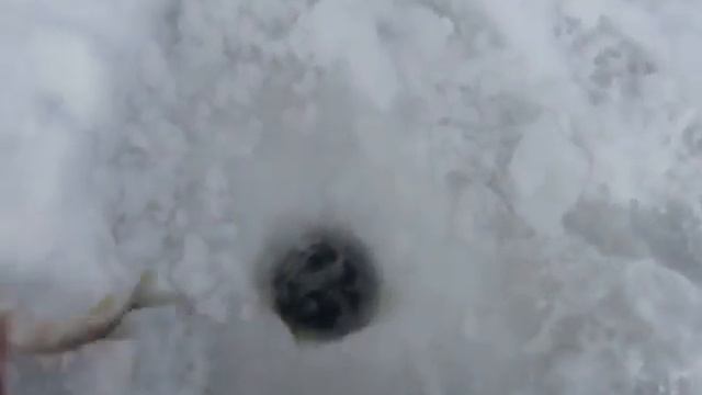 Выпускаем щурят 3 смотреть онлайн