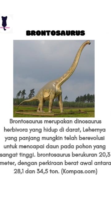 Tentang dinonasurus brontosaurus #shorts #ngeshortsdulu #brontosaurus #dinosaurus смотреть онлайн