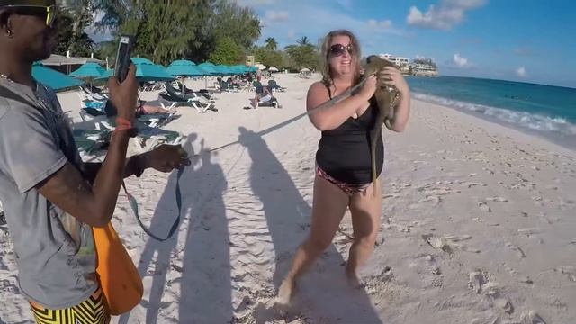 Monkey humps man head смотреть онлайн