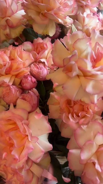 🔴 ЦВЕТЫ 🌹 🌹🌹РОЗЫ🔴 смотреть онлайн