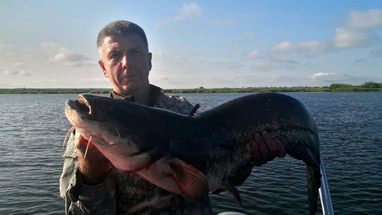 "И РЫБА И МЯСО" Сом в кляре от Натальи Кузнецовой. смотреть онлайн