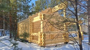 Сруб для Бани Установлен. Дождался)