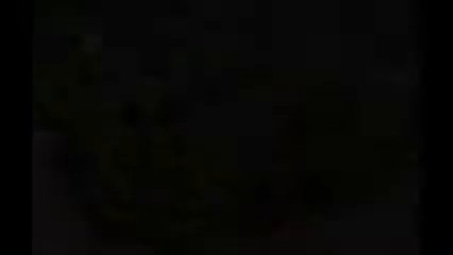 Mon film : LE JARDIN SECRET. смотреть онлайн