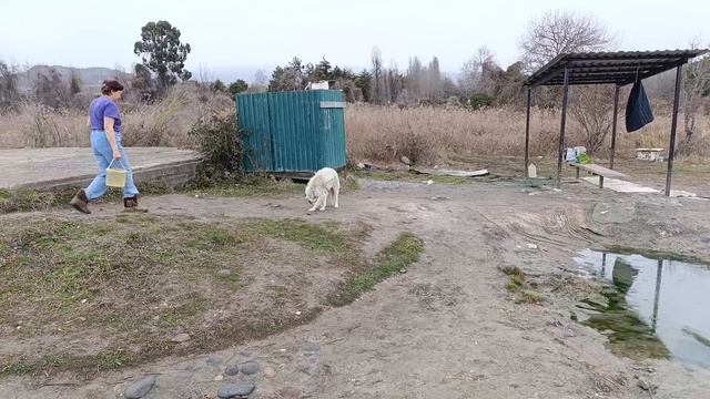 Снова на горячем источнике в Эшере смотреть онлайн