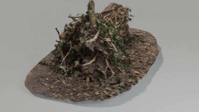 Tree Stump Ivy colour turntable blender render смотреть онлайн