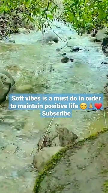 river #shorts #meditationmusic #naturesounds #nature #beautifulnature #rain #relaxingsound смотреть онлайн