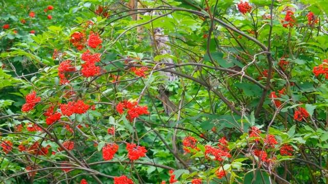 Отдых на природе