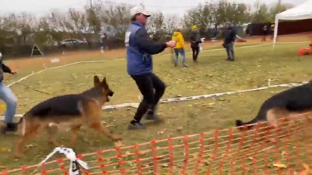 Де Орсе Мак Флай Иствуд - ВОРОНЕЖ-23, моно, ЮСС смотреть онлайн