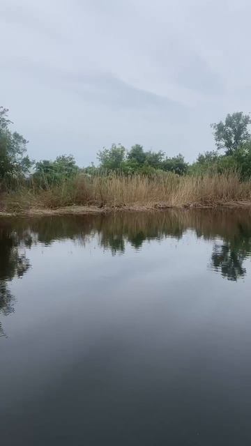 🏡 Дом мечты под 6% – воспользуйтесь программами IT и Семейная ипотека! 📉💰