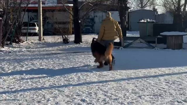 1.  выражено/перв ROMANDO GRUNGE HAYNS APERSON (Erben Welt Stern Kayzer – Romando Grunge Randevu)