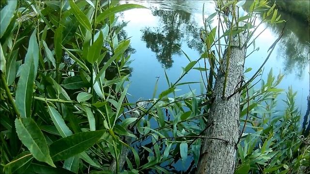 На Уводи 2 июля смотреть онлайн
