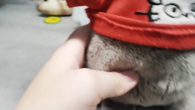 VID_20250305_174515.mp4 смотреть онлайн