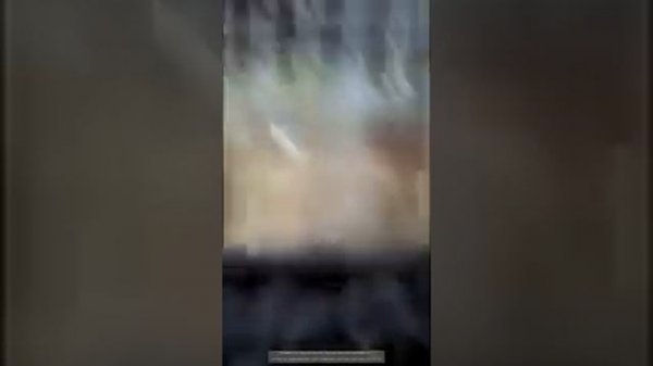 мои ушастики