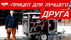Курганский прицеп для перевозки собак - «Собаковод» #курганскиеприцепы