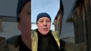 ВИДЕООТВЕТ ФЕРМЕРА: Стоит ли покупать ПЕРОСЪЕМНУЮ МАШИНУ? 🤔🐓✂️