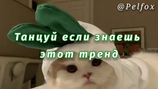Танцуй если знаешь этот тренд//тренды тик ток 2021//тренды смотреть онлайн