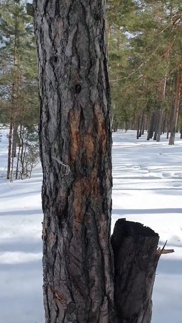 28 марта 2022 г. смотреть онлайн