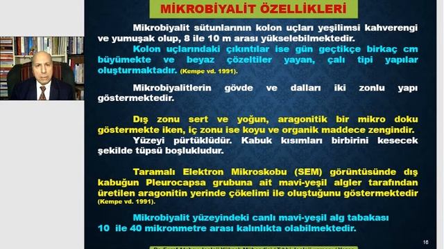 Van Gölü Canavarı. Van Gölü dev mikrobiyalitleri, güncel karbonat ve soda oluşumu. eşref atabey