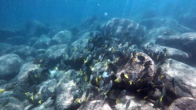 Baja California, Mexico - February 2020