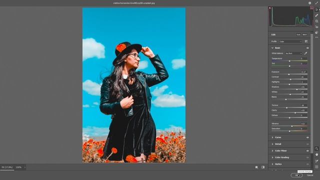 yellow cinematic presets free download | camera raw free presets смотреть онлайн
