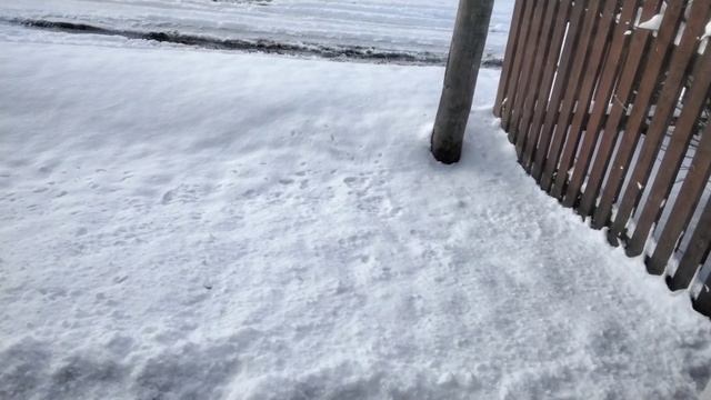 С добрым утром. Показываю в субботу 15 апреля 2023г,что нам веселья принесло.😀 смотреть онлайн