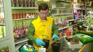 КОНСУЛЬТАНТ САДОВОДА 6