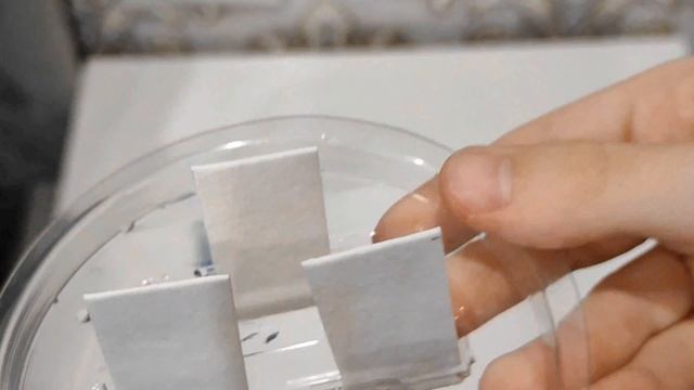 Как вырастить кристалл. смотреть онлайн