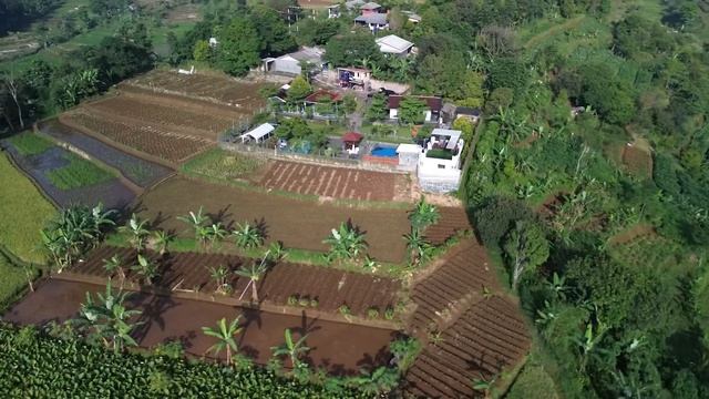 Drone Murah Sangat Bagus DJI Mini 3 - Beli Gaes смотреть онлайн