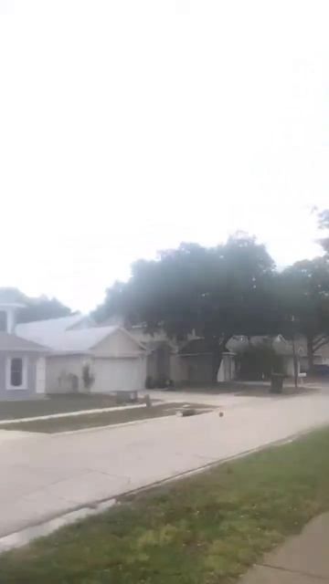 Sprinklers смотреть онлайн