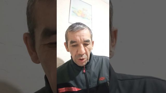 ТОО хлебное дерево, суперпекарь смотреть онлайн