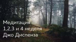 1,2,3 и 4 неделя. Медитация Джо Диспенза. Полный текст медитативной практики. #аюмедитэйшн