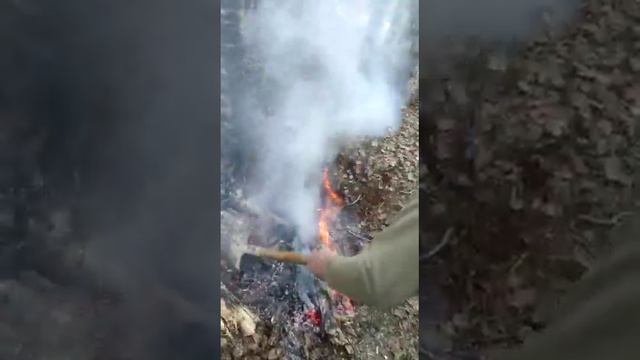 Открытие охоты,готовим медведя и кабана. смотреть онлайн