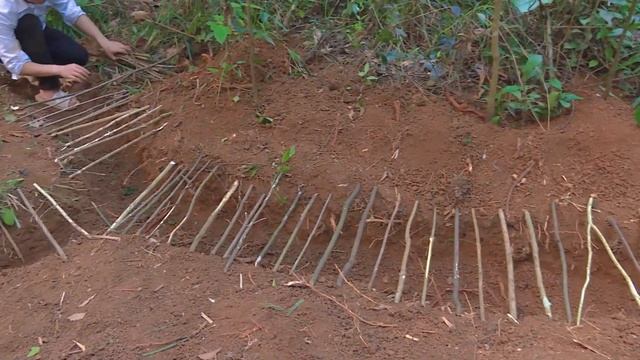 Bữa Cơm Rau Rừng - Cá Khô Nấu Trên Bếp Không Khói Hoàng Cầm