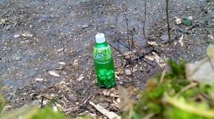 Фольга и Крот