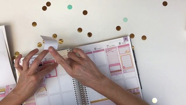 PLAN WITH ME Erin Condren Vertical layout WONTON IN A MILLION designed exclusively for Michaels смотреть онлайн