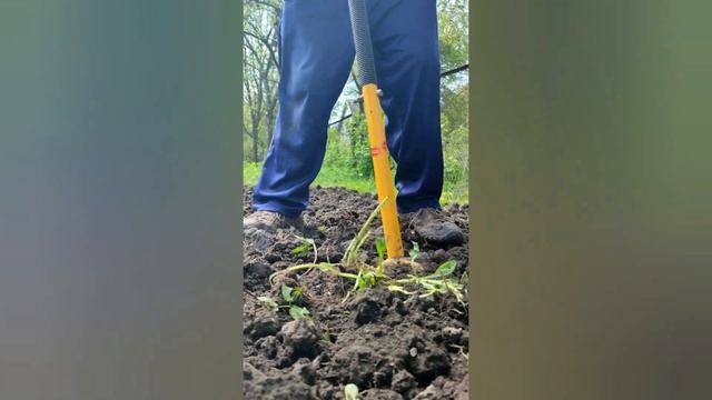 10 хвилин і город перекопаний без лопати. Найкращі інструменти для дачі та саду. смотреть онлайн