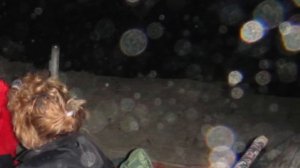 Плазмоиды? Что это? Факты необъяснимого.