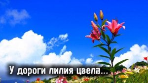 Христианская песня | У дороги лилия цвела.