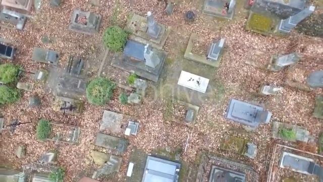 Camera Flies Over the Graves in the Cemetery of the Lviv смотреть онлайн