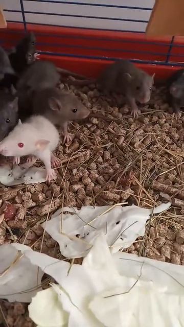 25 октября 2019 г.