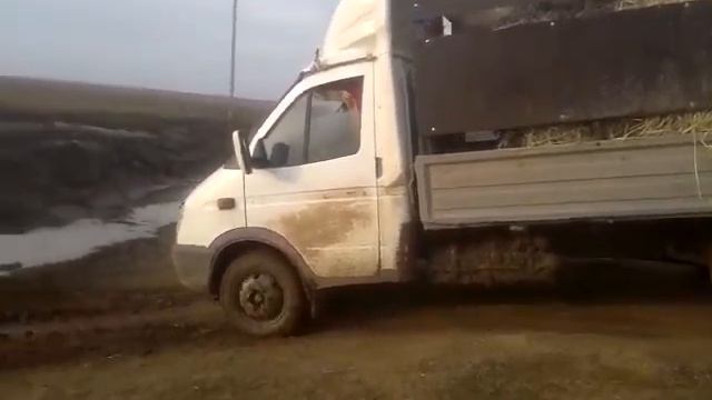 Шумахер за рулем газеля🤣 смотреть онлайн