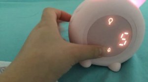 How to set the bunny alarm clock