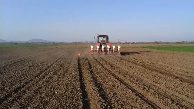 Setva suncokreta 2016 Banatska Subotica Lukas Holland + Belarus 1025 смотреть онлайн