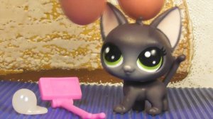 LPS:  Поход в магазин за пэтами. Я нашла этот набор из 2 серии!!!