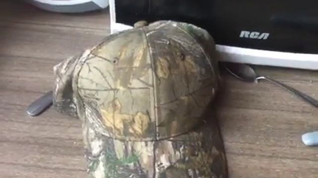 My Camouflage Hunting Hat