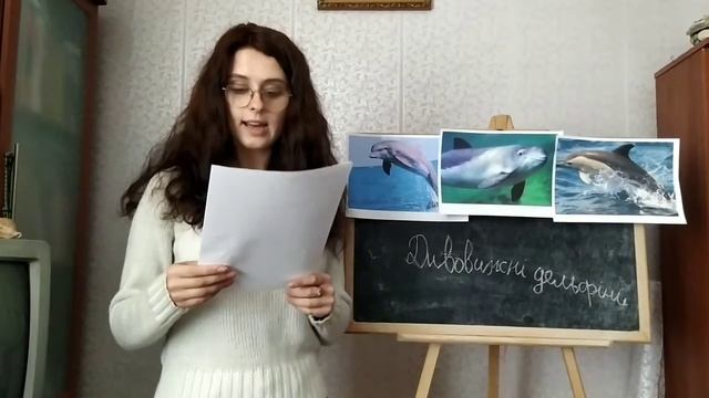 Читання. Текст "Дивовижні дельфіни". смотреть онлайн